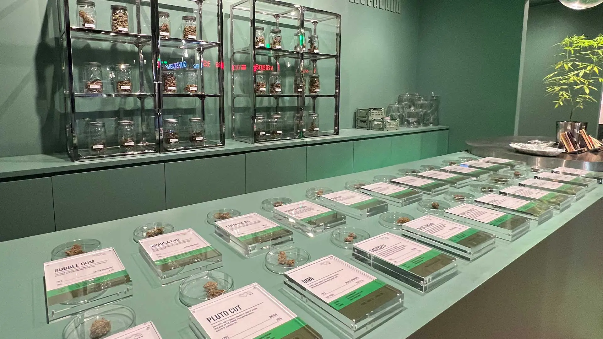 The WeedLand Krabi photo 2