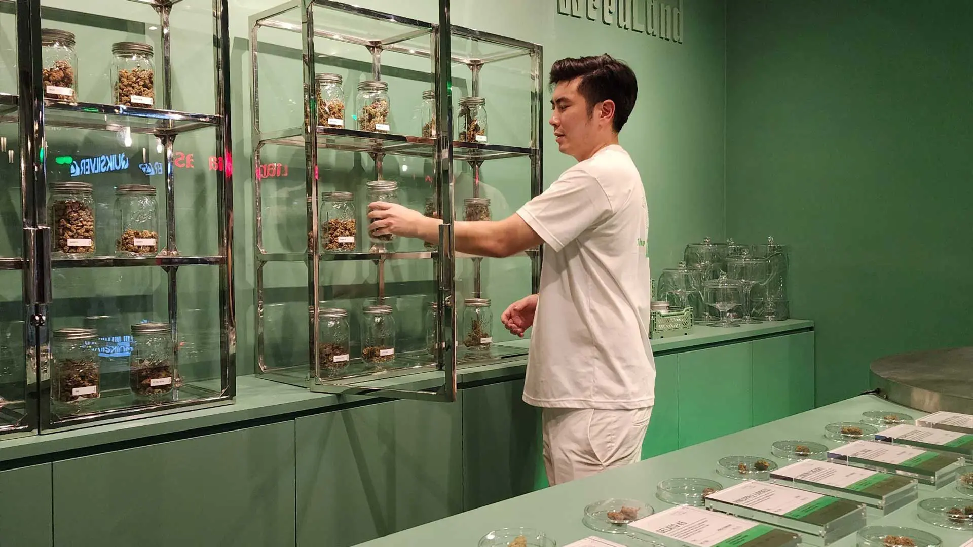 The WeedLand Krabi photo 6